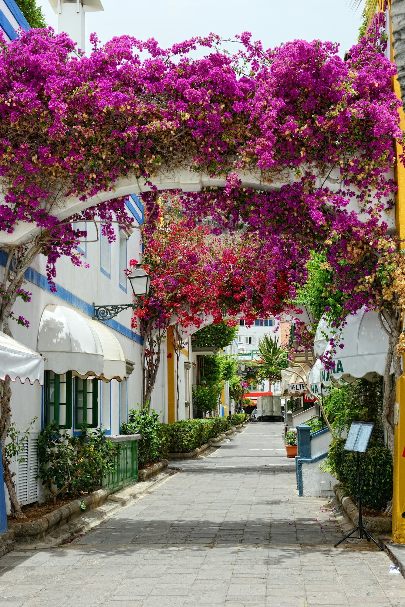 cityscape of puerto de morgan